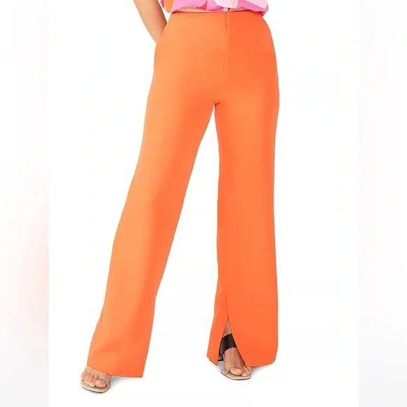 Anthropologie NWT Sz 27 side slit w/pockets trouser pants; beautifully tailored - Picture 4 of 16